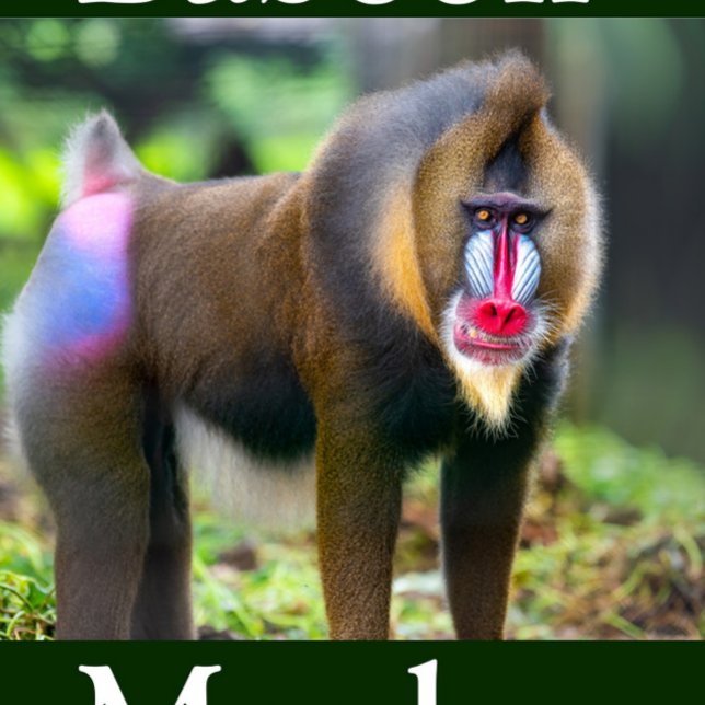 Portrait de Mandrill en Puzzle (Baboon Monkey Jigsaw Puzzle!)
