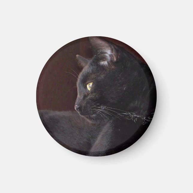 Portrait de mon garçon, Charlie Magnet (Devant)