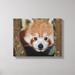 Portrait de panda sur toile