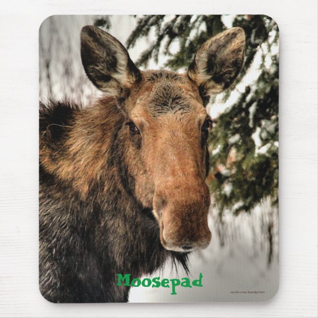 Portrait d'orignal canadien Funny Tapis de souris  (Devant)