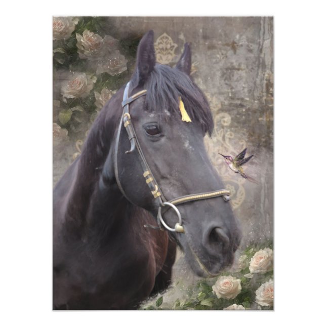 Portrait du cheval friésien - Poster (Devant)