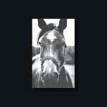 Portrait du cheval noir et blanc - toile photo Imp<br><div class="desc">Une belle photo de cheval noir et blanc qui sera un accent parfait pour votre maison ou bureau.</div>