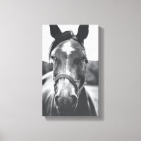 Portrait du cheval noir et blanc - toile photo Imp
