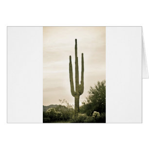 Portrait du désert géant Saguaro Sonoran