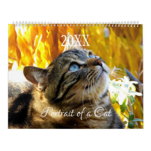 Portrait d'un calendrier de chat - HAMbyWG