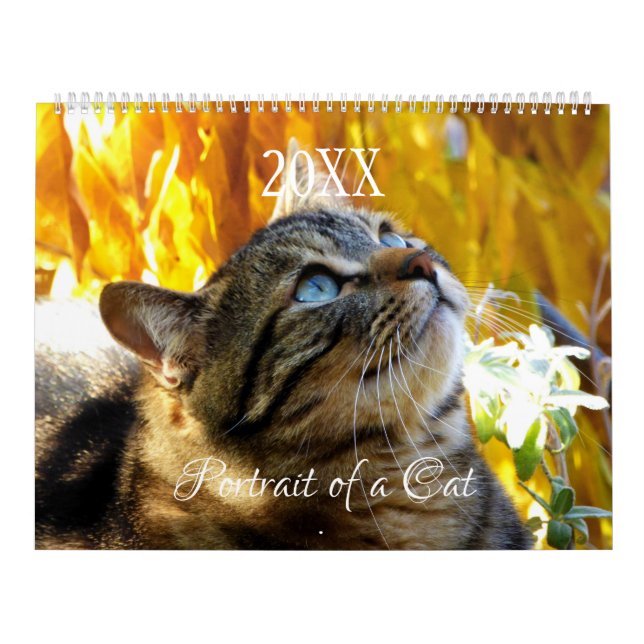 Portrait d'un calendrier de chat - HAMbyWG (Protection)