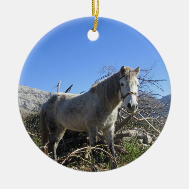 Portrait d'un ornement de cheval (Devant)