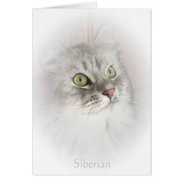 Portrait d'une carte sibérienne (Devant)