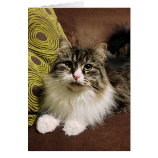 Portrait d'une carte sibérienne (Devant)