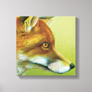 Portrait d'une toile de renard