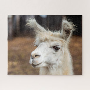 Portrait Llama Blanc, Puzzle