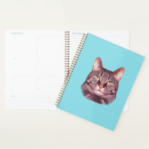 Portrait photo de chat