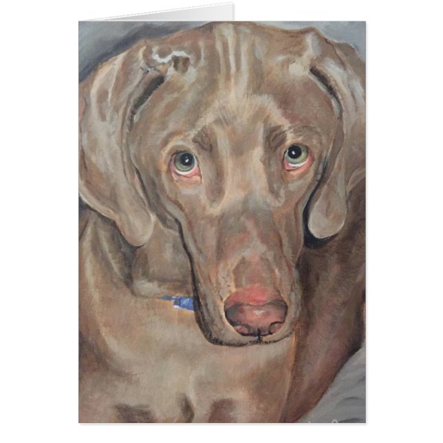 Portrait pour animaux - Weimaraner (Devant)