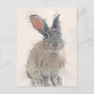 Portrait Rabbit No.33 Carte postale