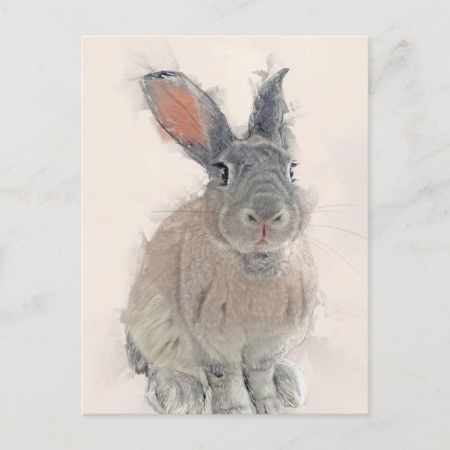 Portrait Rabbit No.33 Carte postale (Devant)