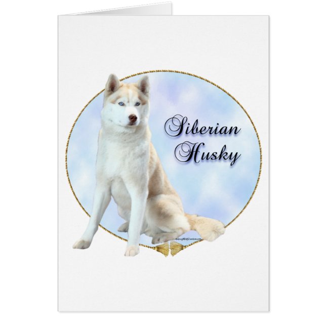 Portrait sibérien Husky (Devant)