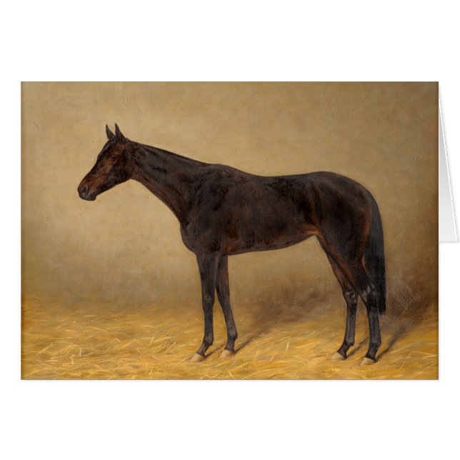 Portrait vintage d'un beau cheval, (Devant horizontal)