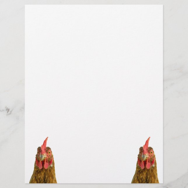 Portraits de poulet sur papier (Devant)