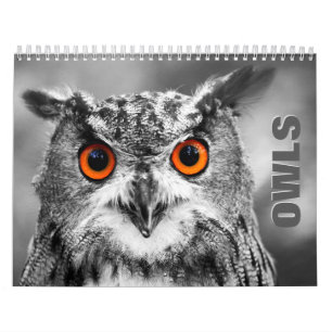 Portraits d'hibou 2022 Calendrier mural