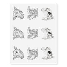 Portraits noirs et blancs de chauves-souris