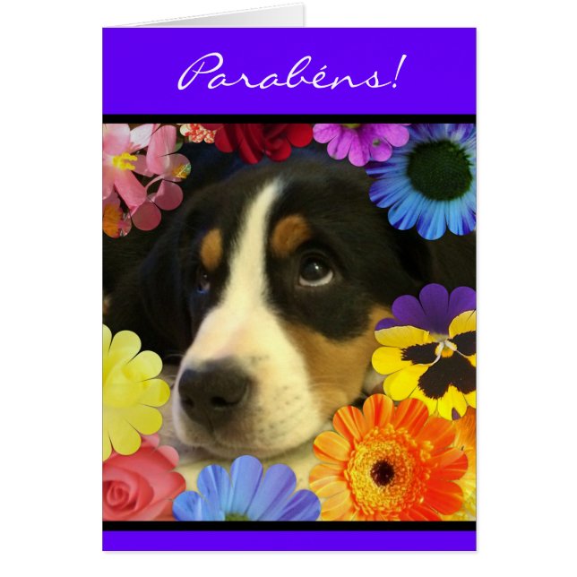 Portugais : Cachorrinho de parabens (Devant)