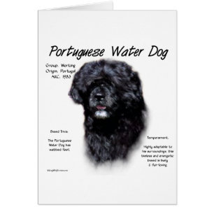 Portugais de l'histoire des chiens d'eau Design