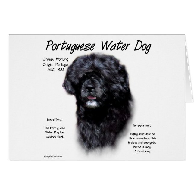Portugais de l'histoire des chiens d'eau Design (Devant horizontal)