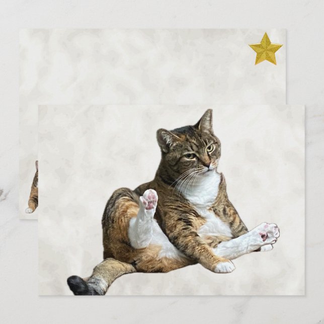 Pose de chat sot - Carte de voeux plate d'Annie (Devant / Derrière)