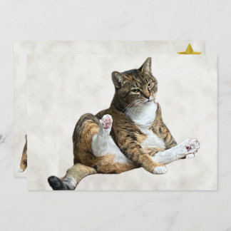 Pose de chat sot - Carte de voeux plate d'Annie