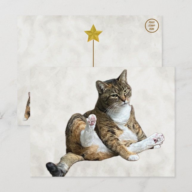 Pose de chat sot - Carte postale d'Annie (Devant / Derrière)