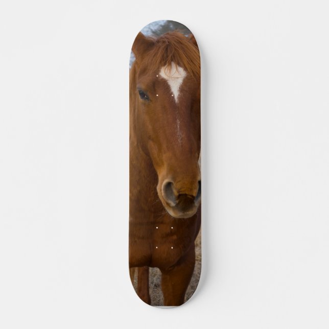 Pose de cheval skateboard (Devant)
