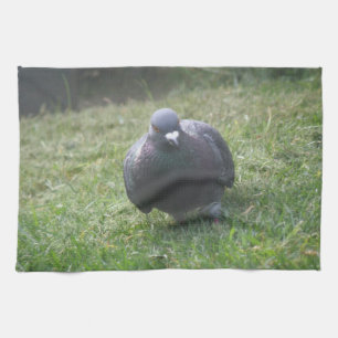 Poser Pigeon serviette de cuisine