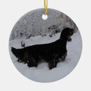 Poseurs de Gordon dans un ornement de tempête de