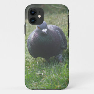 Posing Pigeon iPhone 5 Coque