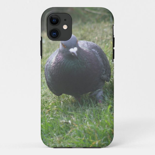 Posing Pigeon iPhone 5 Coque (Dos)