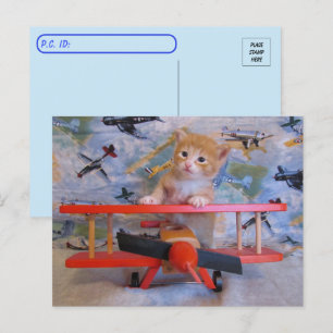 Post-croisement = Carte postale de l'avion de Dolc