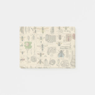 Post-it® Abeille Insecte Bug Wasp Nature Peinture des abeil