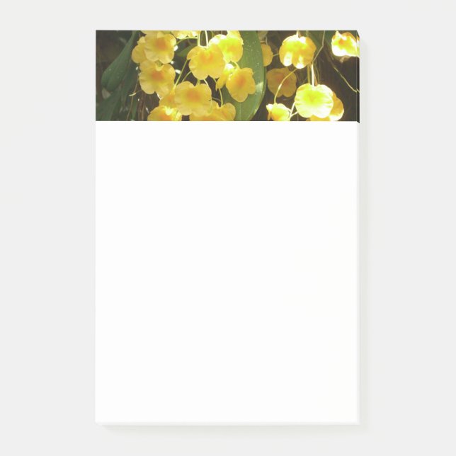 Post-it® Accrocher les orchidées jaunes Fleurs tropicales (Devant)