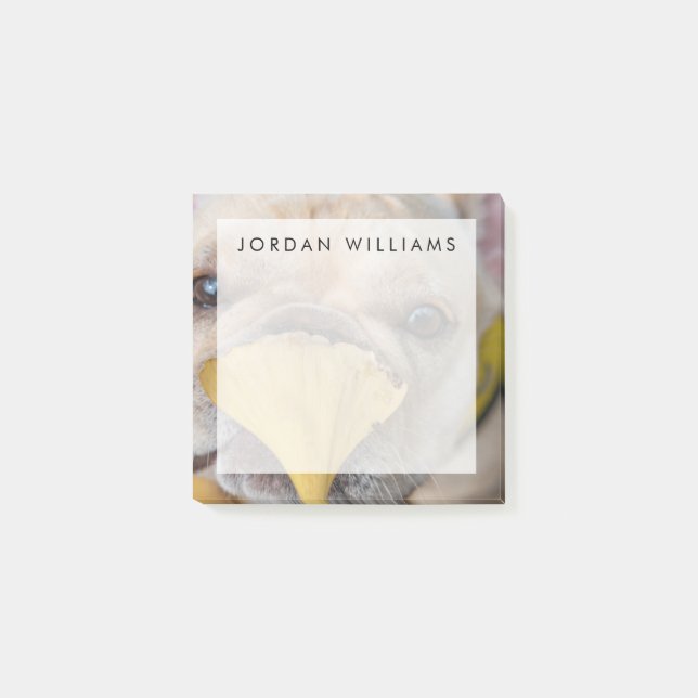 Post-it® Adorable Chien de France (Devant)