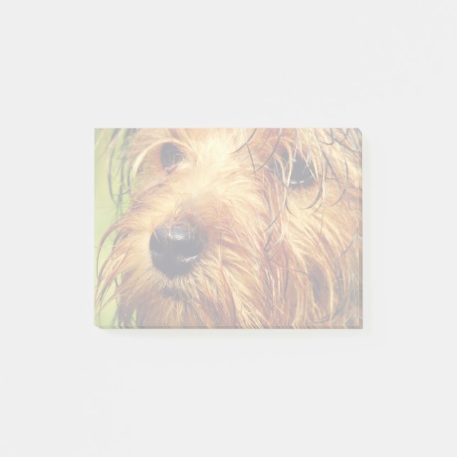 Post-it® Adorable chien Terrier avec un visage humide (Devant)
