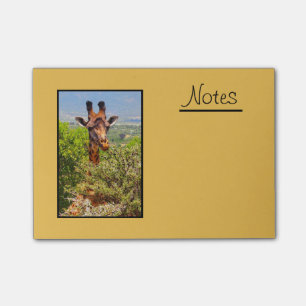 Post-it® Adorable Giraffe Poking His Head Above The Trees