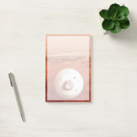 Aérocoque Avec Perpersévérance Rover Descente Vers