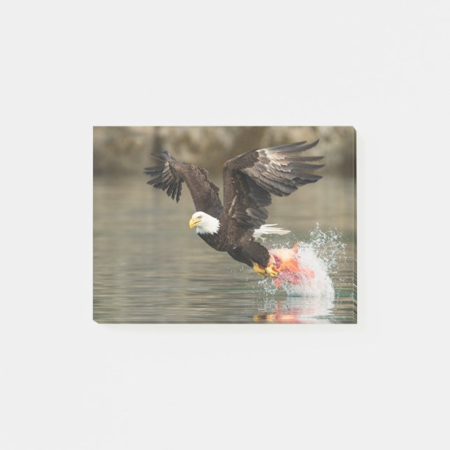 Post-it® Aigle à tête plate (Devant)