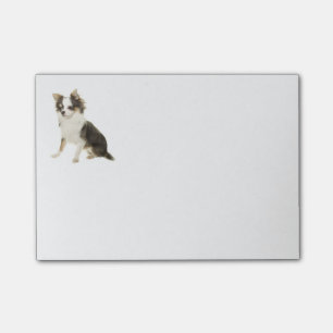Post-it® Aimer les cheveux longs Chihuahua Chiot