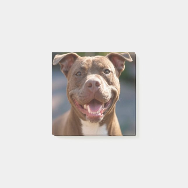 Post-it® Ajouter une Personnaliser photo Pit Bull (Devant)