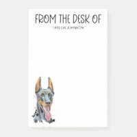 Amoureux de Doberman Pinscher