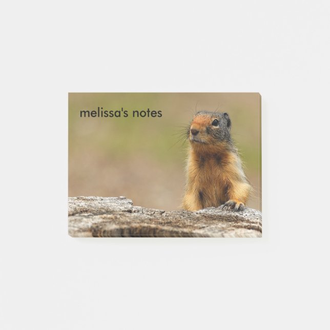 Post-it® Amusant Cute Saucy Columbian Ground Squirrel (Devant)