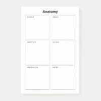 Anatomie musculaire Étudiant en soins infirmiers M