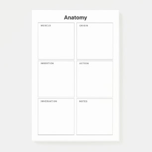 Post-it® Anatomie musculaire Étudiant en soins infirmiers M