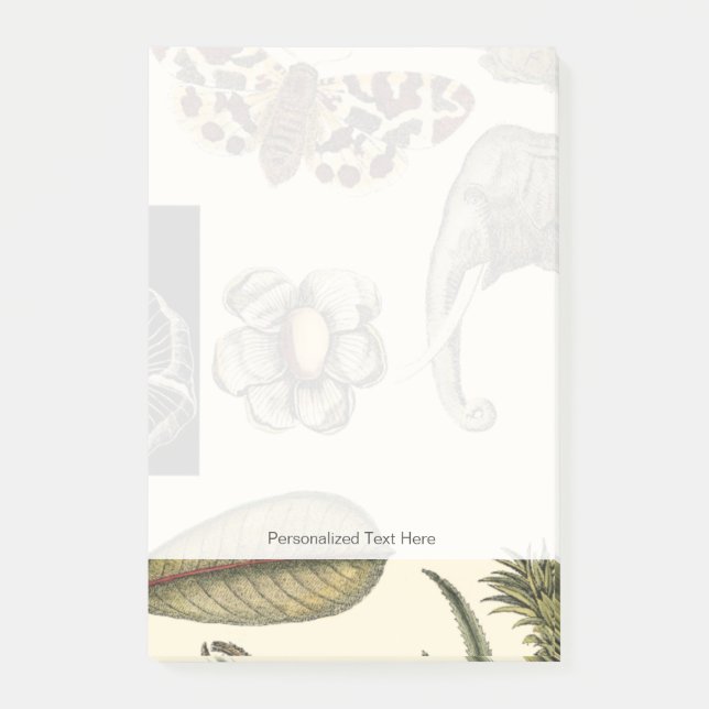 Post-it® Animaux agressés peints sur Arrière - plan de crèm (Devant)